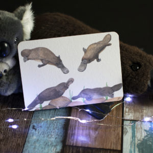 Platypus, Kangaroos & Tassie Devils – Art Prints Based on 12 Days of Xmas