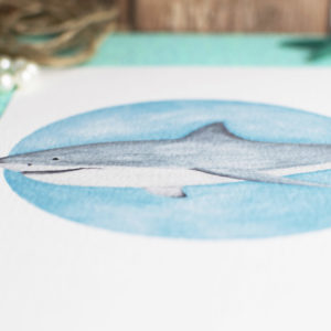 A5 Art Print of Marine Animals on Textured Paper – Options include Sea Turtle,Great White Shark, Seal Pup or Octopus