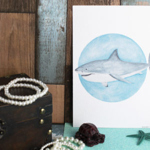 A5 Art Print of Marine Animals on Textured Paper – Options include Sea Turtle,Great White Shark, Seal Pup or Octopus – Great White Shark