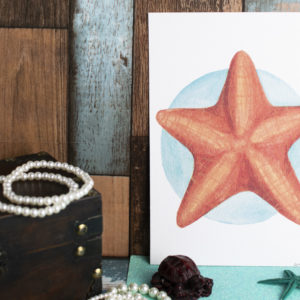 A5 Art Print of Marine Animals on Textured Paper. Options include: Orca, Dolphin, Violet Sea Snail or Starfish – Starfish