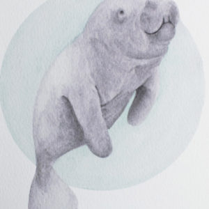 A5 Art Print of Marine Animals on Textured Paper – Options include Manatee, Manta Ray, Seahorse, Sea Lion and Tang