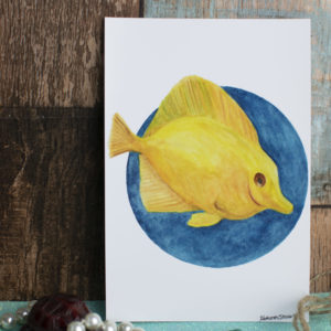 A6 Art Print of Marine Animals on Gloss Paper -Options include: Sea Lion, Violet Sea Snail, Seal Pup or Yellow Tang – Yellow Tang Fish