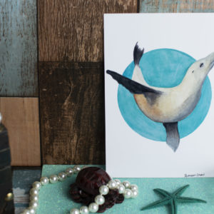 A6 Art Print of Marine Animals on Gloss Paper -Options include: Sea Lion, Violet Sea Snail, Seal Pup or Yellow Tang
