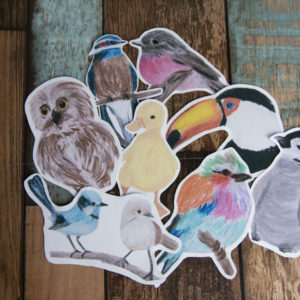 A Variety of Bird Die Cut Matte Handmade Stickers
